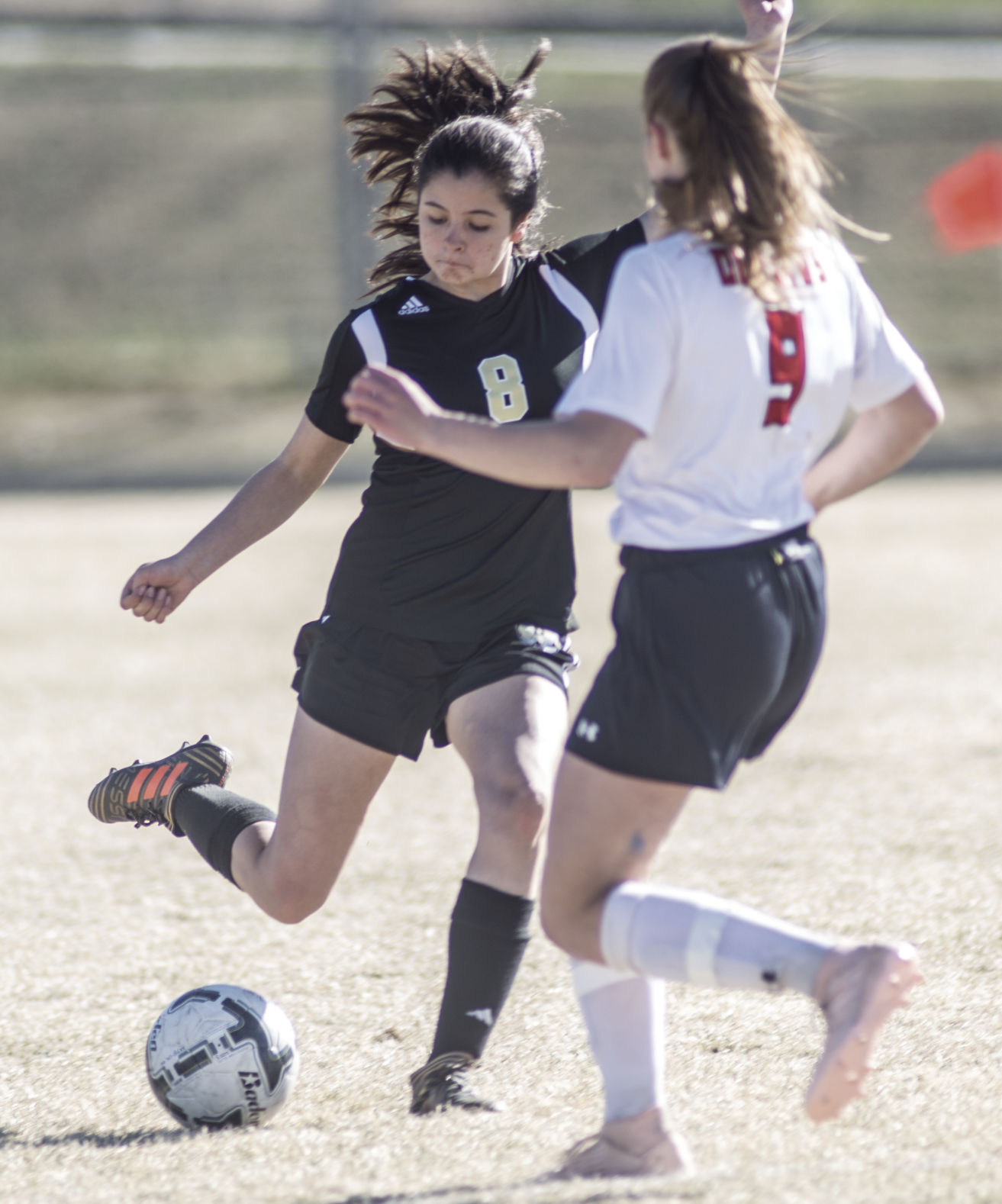 Lady Bison on a roll 2
